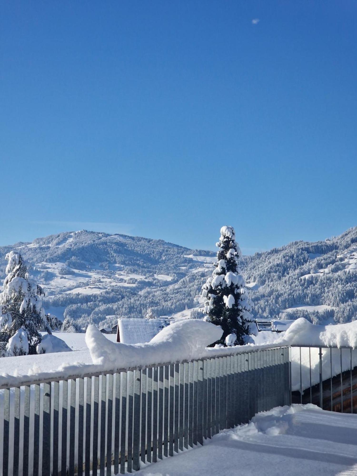 Familienhotel Adler Lingenau Zewnętrze zdjęcie