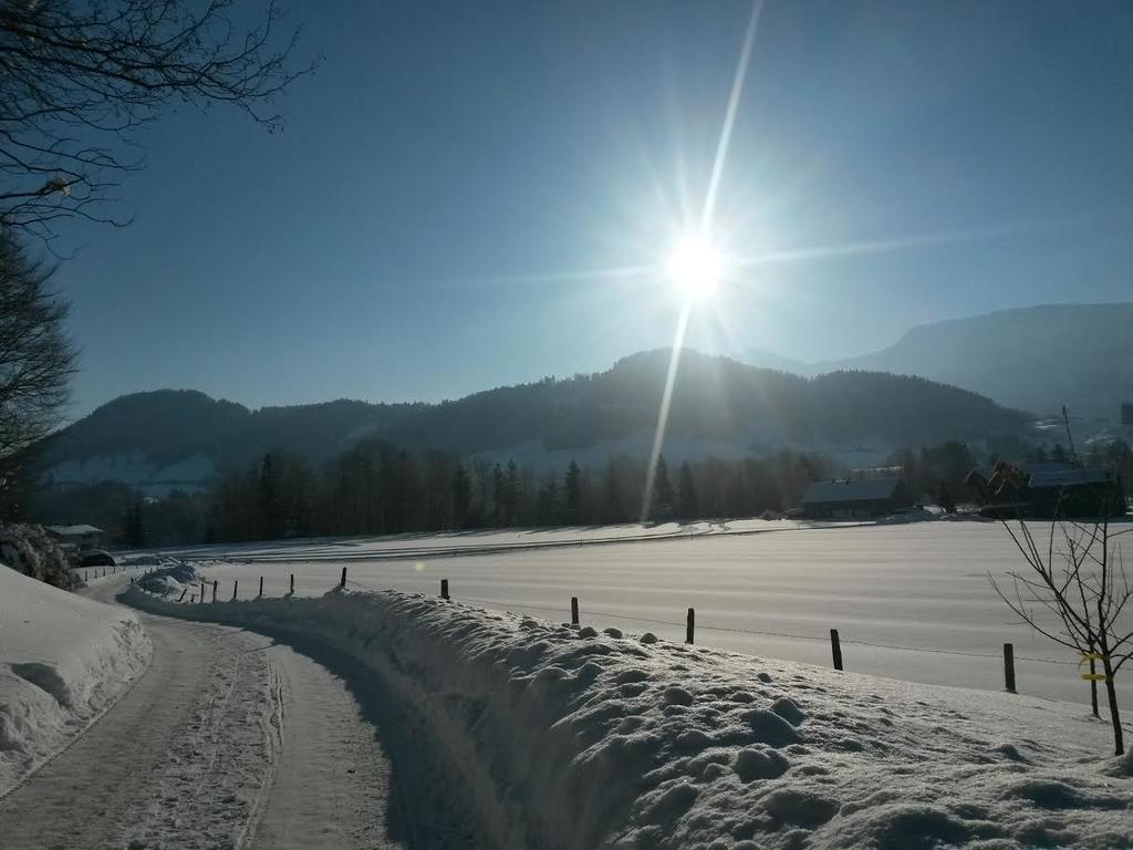 Familienhotel Adler Lingenau Zewnętrze zdjęcie